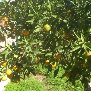 Couette-café Garden, Modica